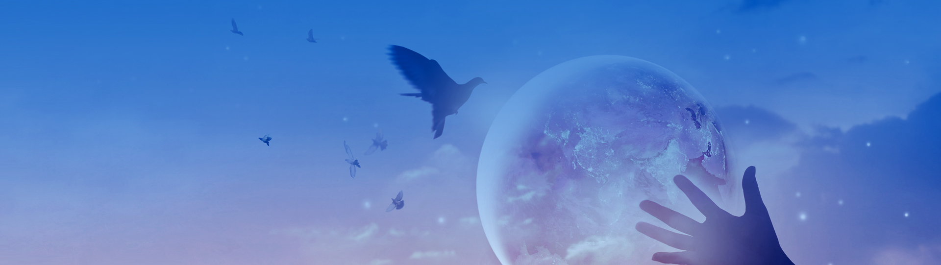 mg不朽情缘(中国)官方网站